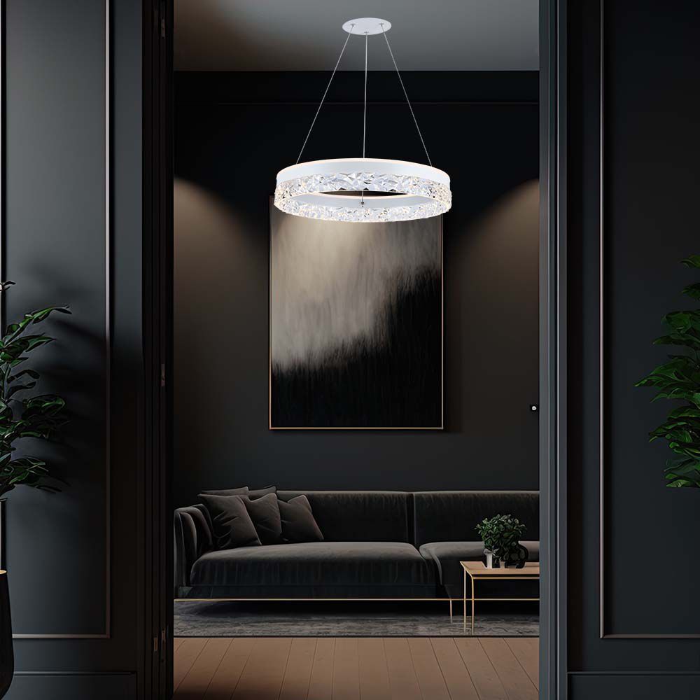 25W LED Designer Hanging Lamp Single Ring 3000K White Body