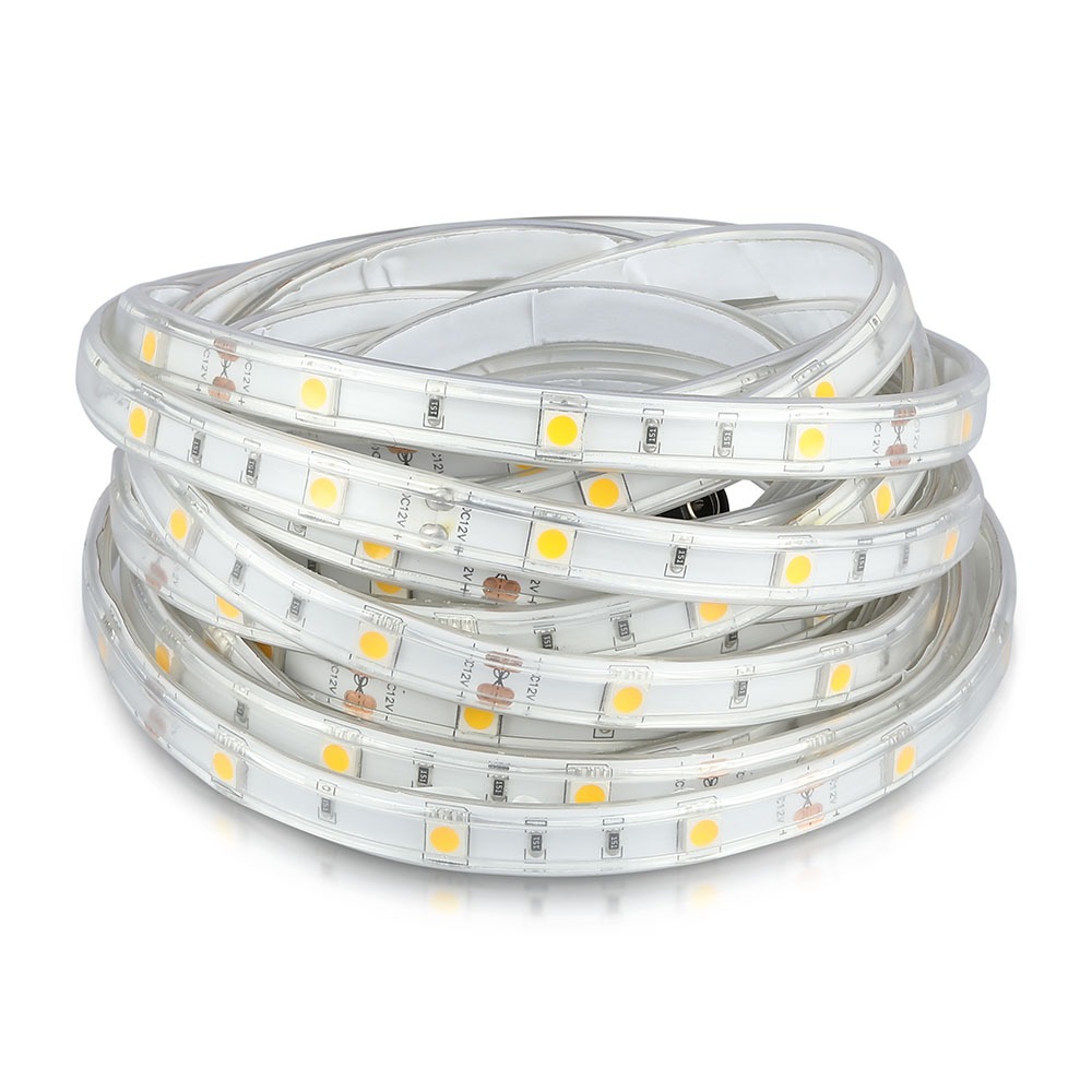 Striscia SMD5050 30 LED/m Bianco freddo IP65 img 1