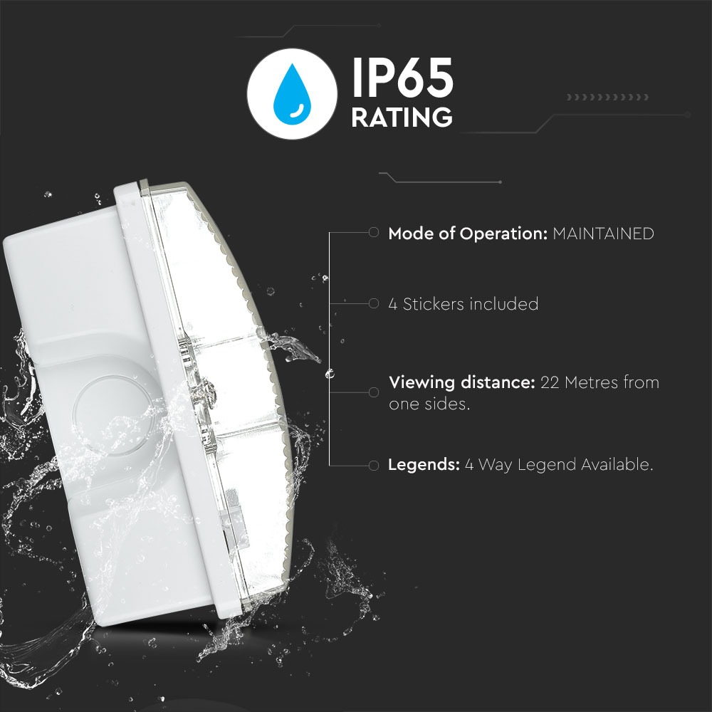 Luce di uscita di emergenza da 3 W. 6000K IP65 1200 mAh img 1