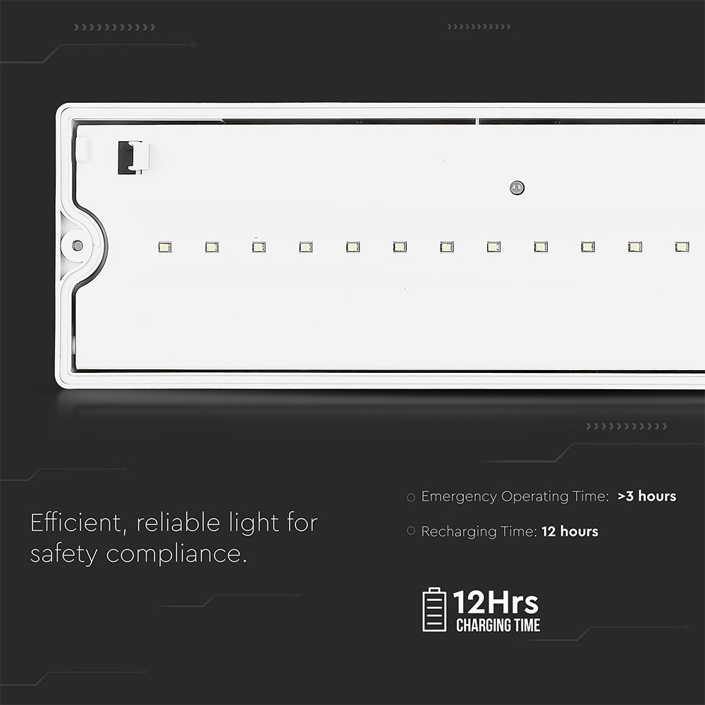 Luce di uscita di emergenza da 3 W. 6000K IP65 1200 mAh img 3