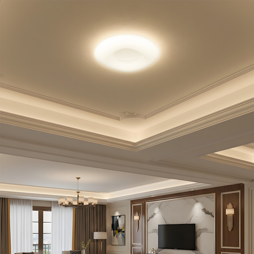 32W Pendant Round Color Changing D460*H100 Dimmable White