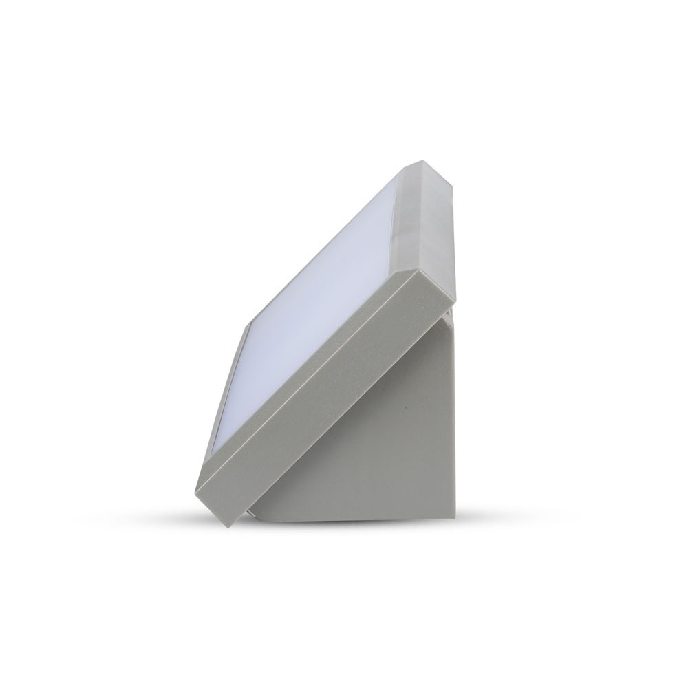 12W LED per Esterno Luce Bianco Naturale Corpo Grigio IP65 img 2