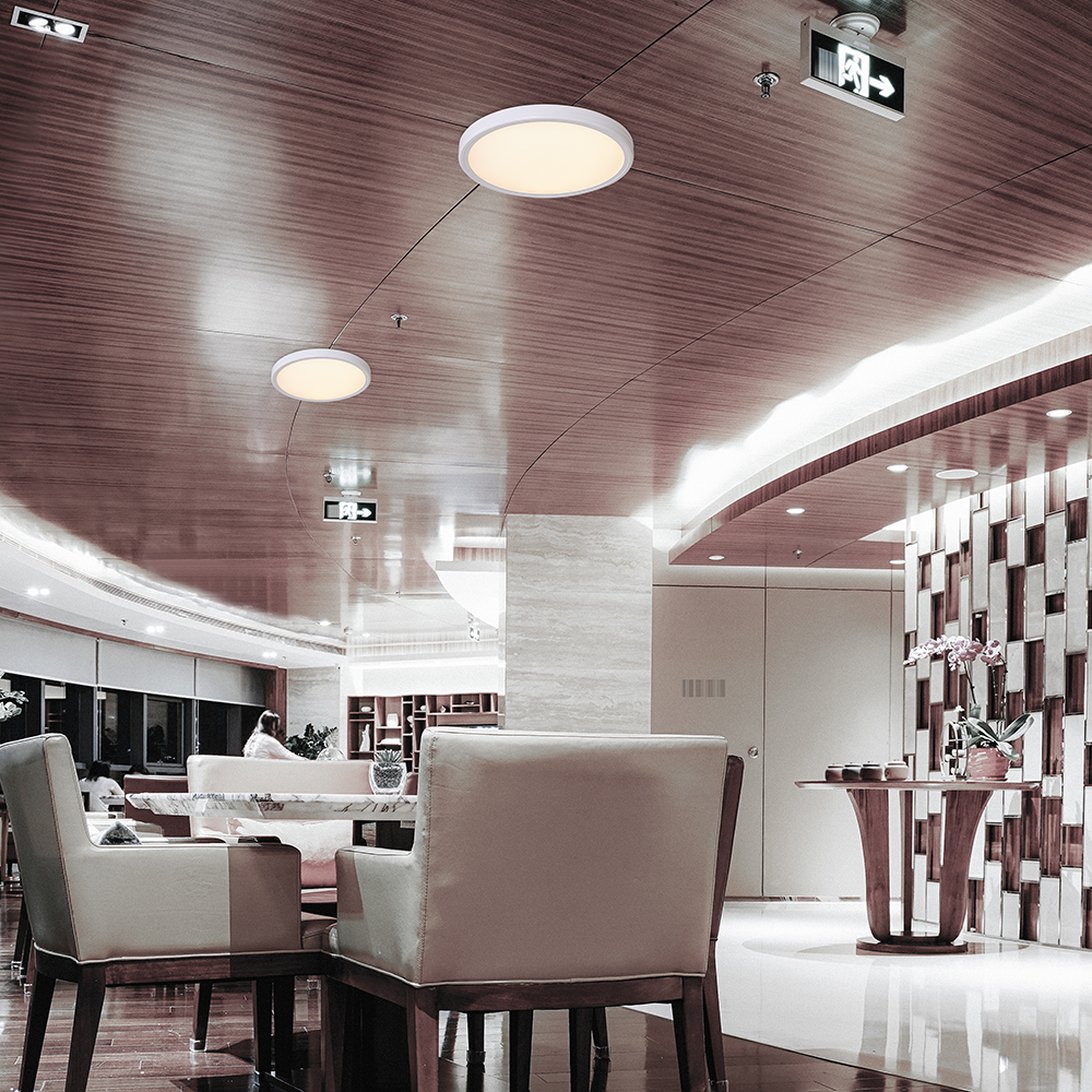 36W LED Decorative Ceiling Lamp (f390*35mm) CCT3IN1 White+Black With 2.4G RF Control img 1