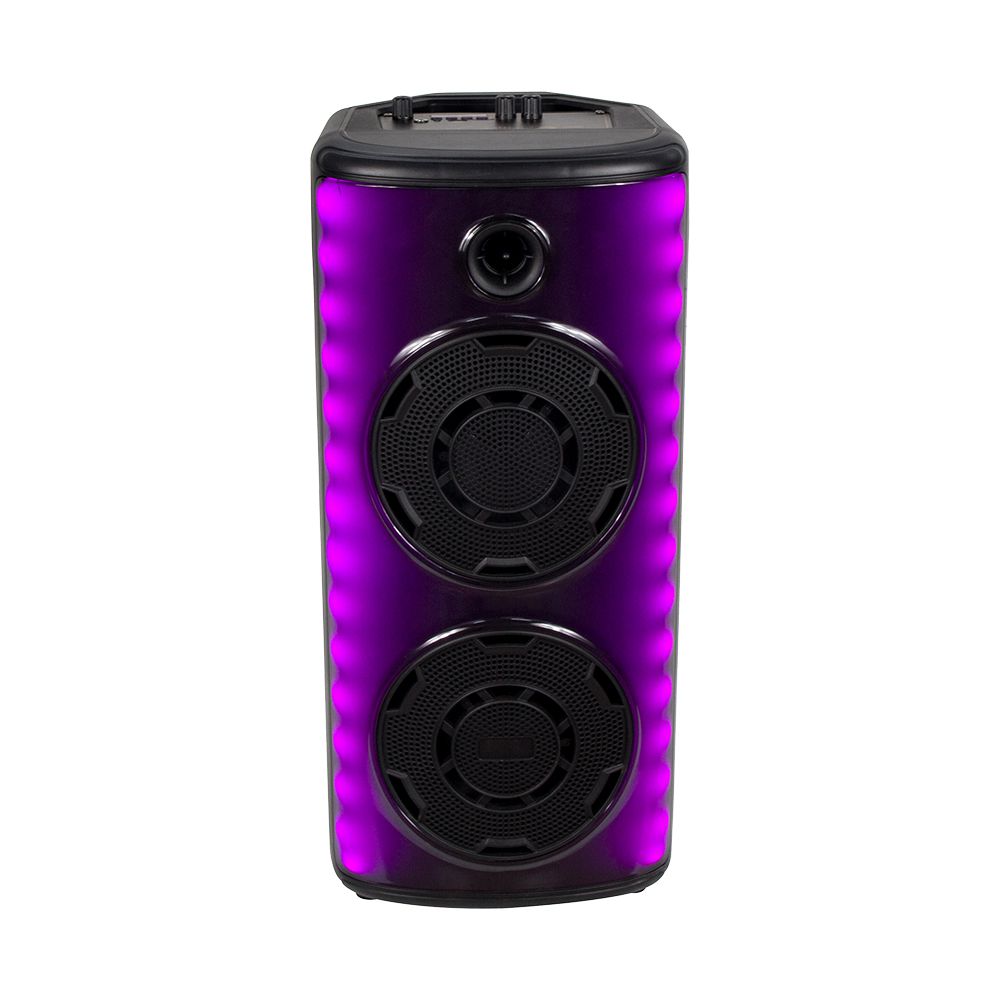 600W Rechargeable Speaker 1 Wired Microphone RF Control and Handle 2x8 inch img 4