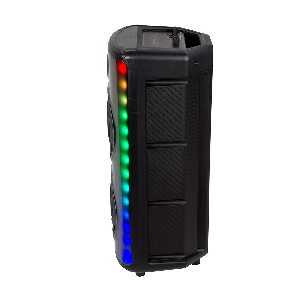 600W Rechargeable Speaker 1 Wired Microphone RF Control and Handle 2x8 inch img 3