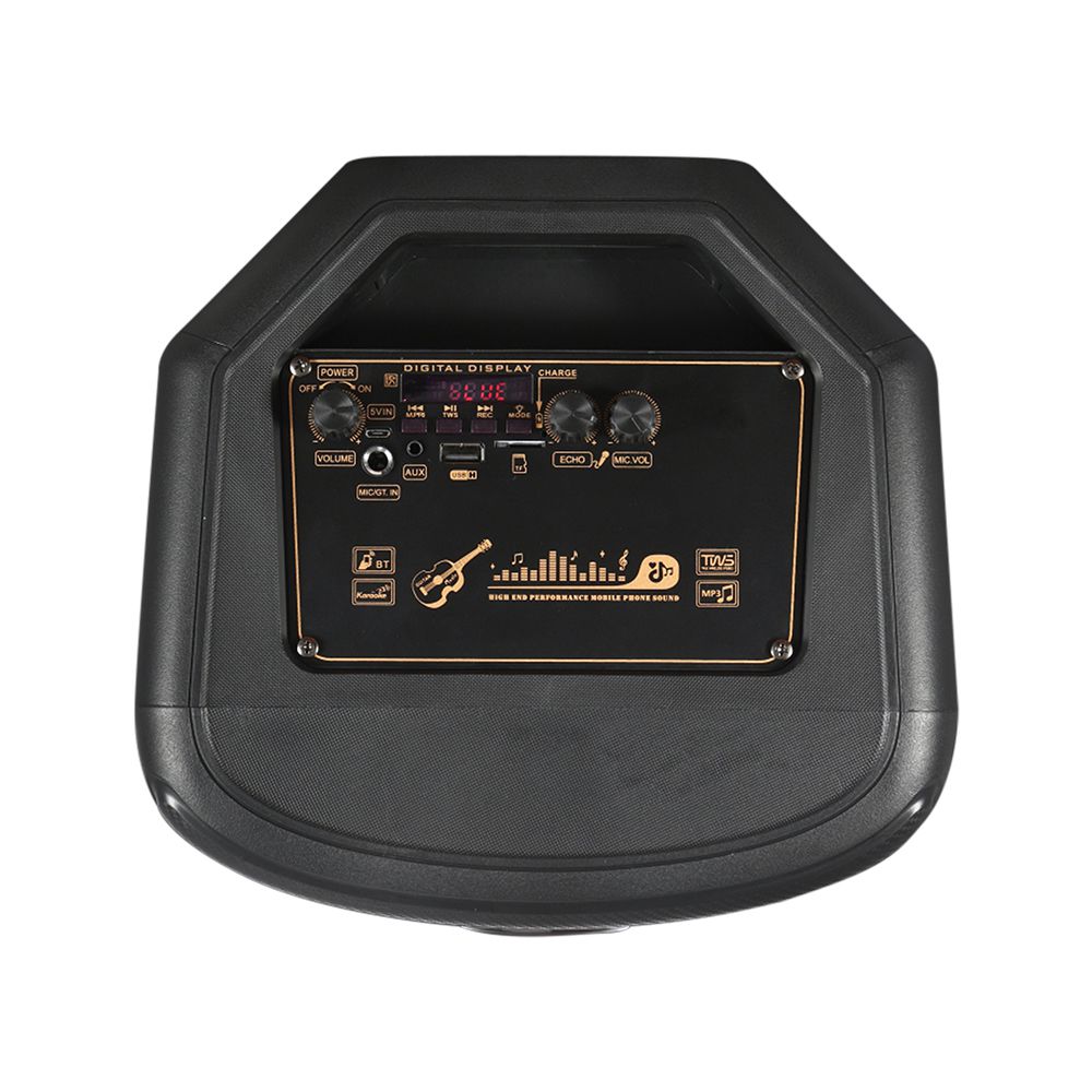 600W Rechargeable Speaker 1 Wired Microphone RF Control and Handle 2x8 inch img 5