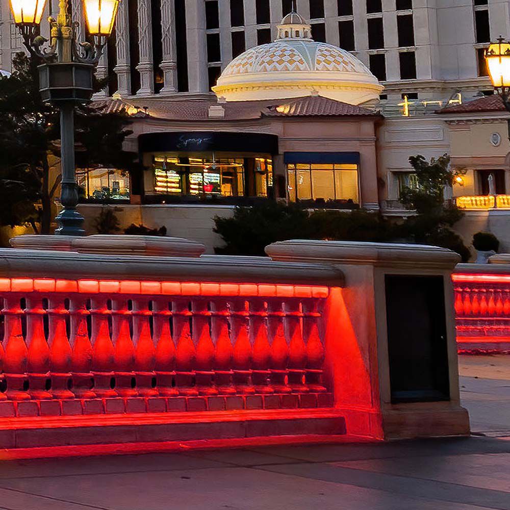 LED COB Strip - 320 LEDS 10W/M Red IP67 24V