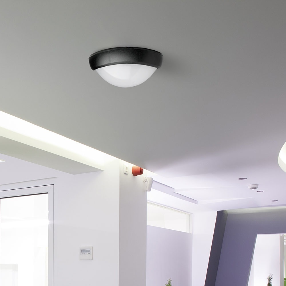 8W Plafoniera LED Ovale Corpo Nero Bianco caldo IP66 img 1