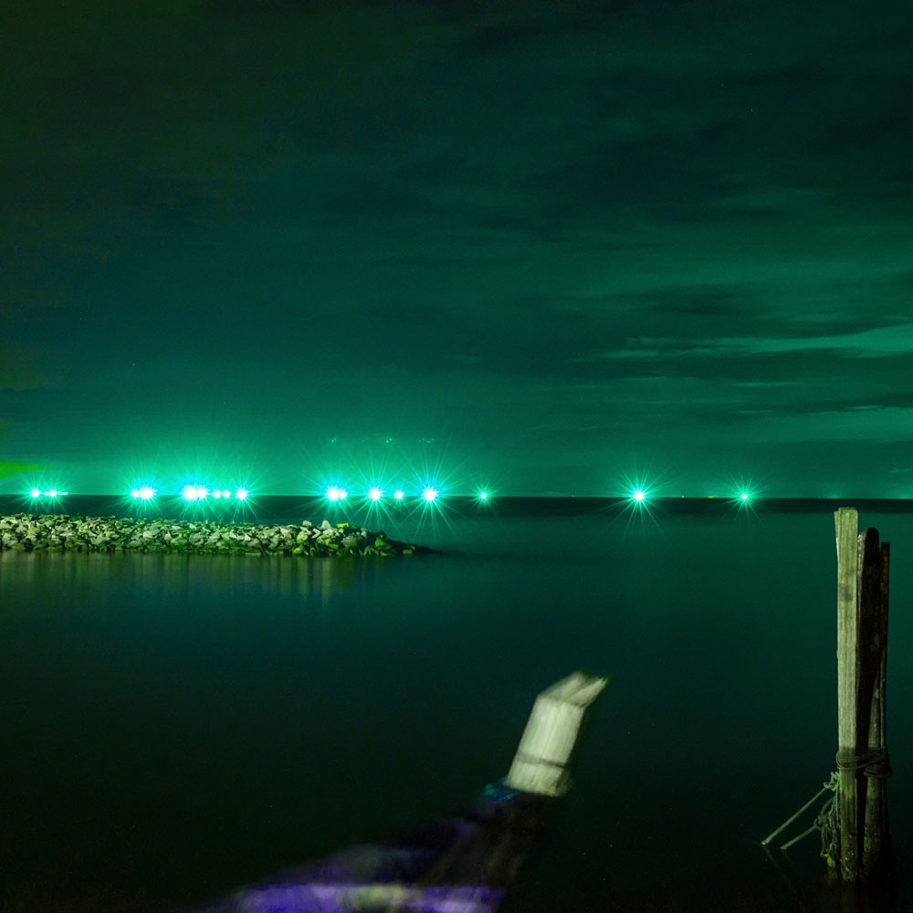 20W LED Proiettore SMD E-Series Corpo Nero Verde IP65