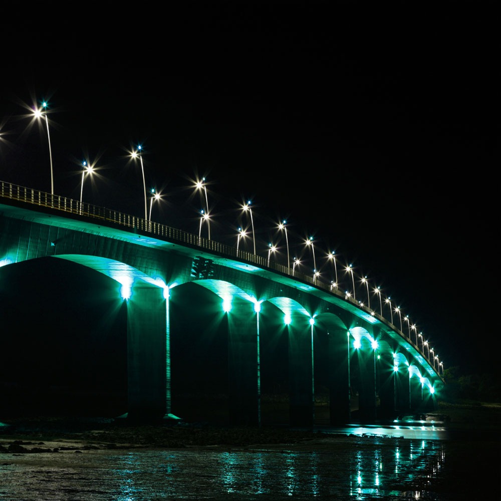 20W LED Proiettore SMD E-Series Corpo Nero Verde IP65 img 1