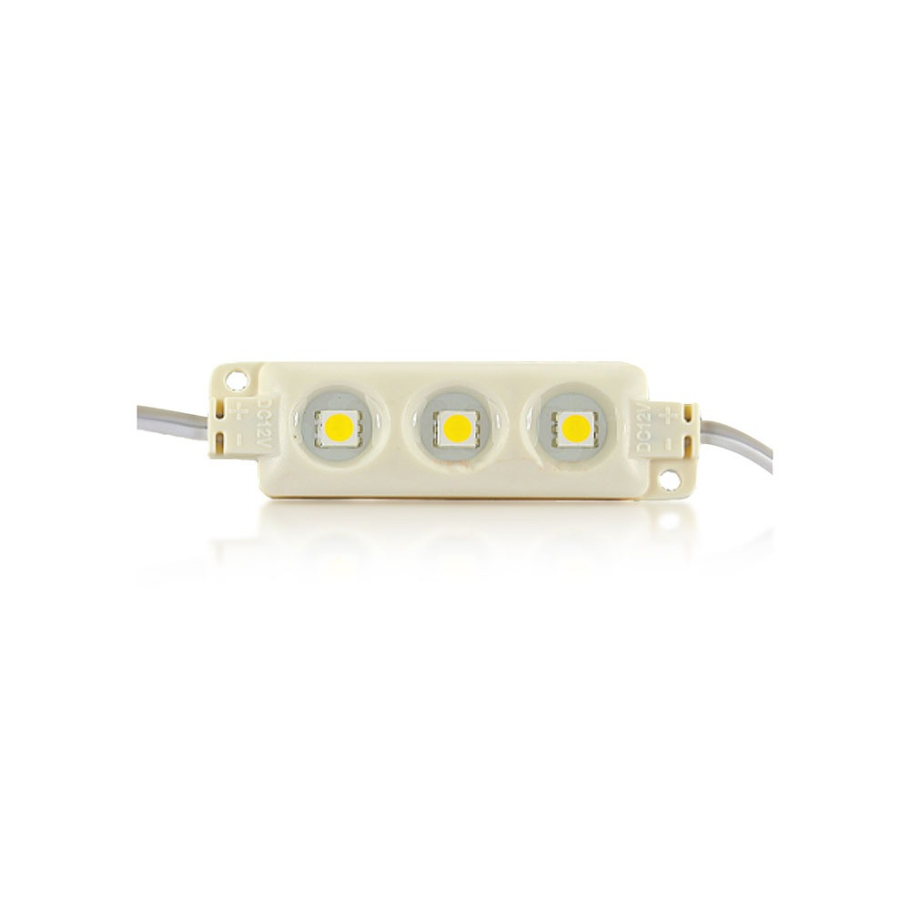 LED Modulo SMD5050 RGB IP66