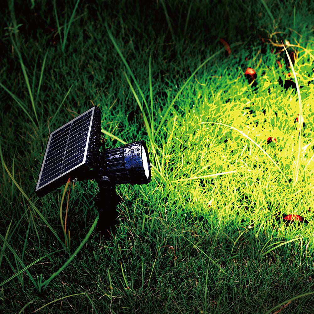 2W LED Solar Spike  IP65 6400K img 1