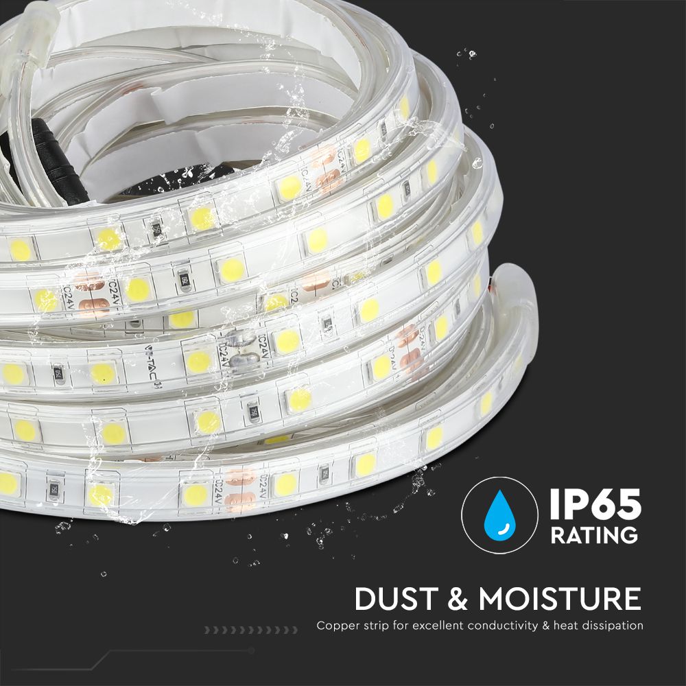 LED Strip 5050 60 Led 24V IP65 6000K img 2