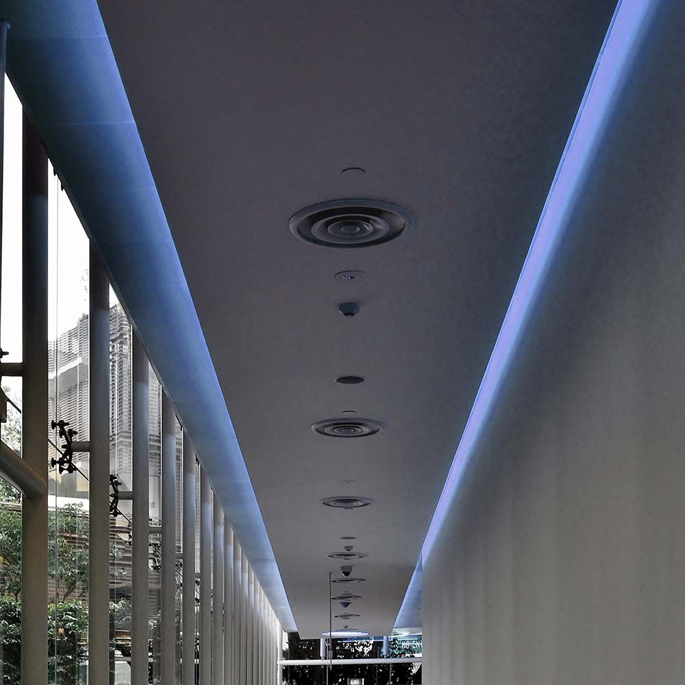 LED Strip SMD3528 - 60LEDs Blue IP65