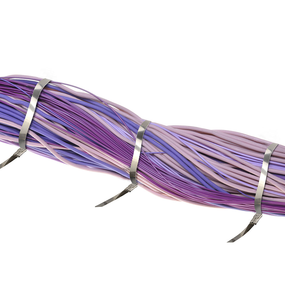 fascetta di fissaggio acciaio inox 4.6 x 250mm 100pcs/pack img 1