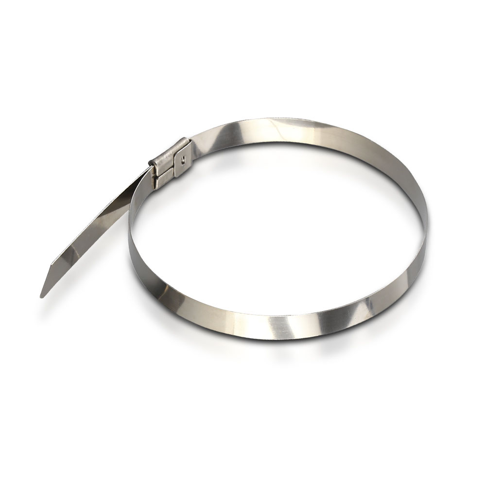 fascetta di fissaggio acciaio inox 4.6 x 250mm 100pcs/pack