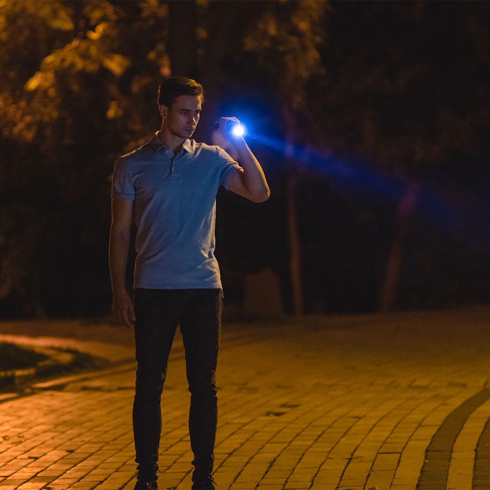 10W SMD Torch Rechargeable Light IP44 img 1