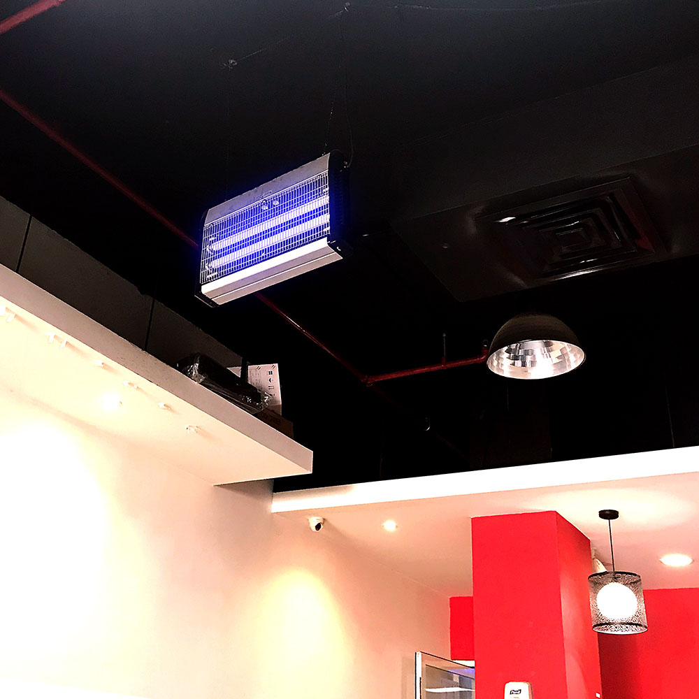 2 x 10W Lampada Cattura insetti img 1