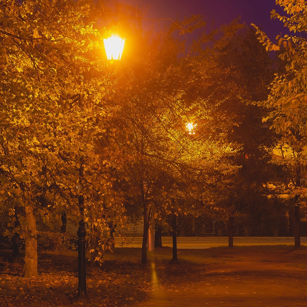 Lampada Giardino 1xE27 1365mm IP44 Nero img 1