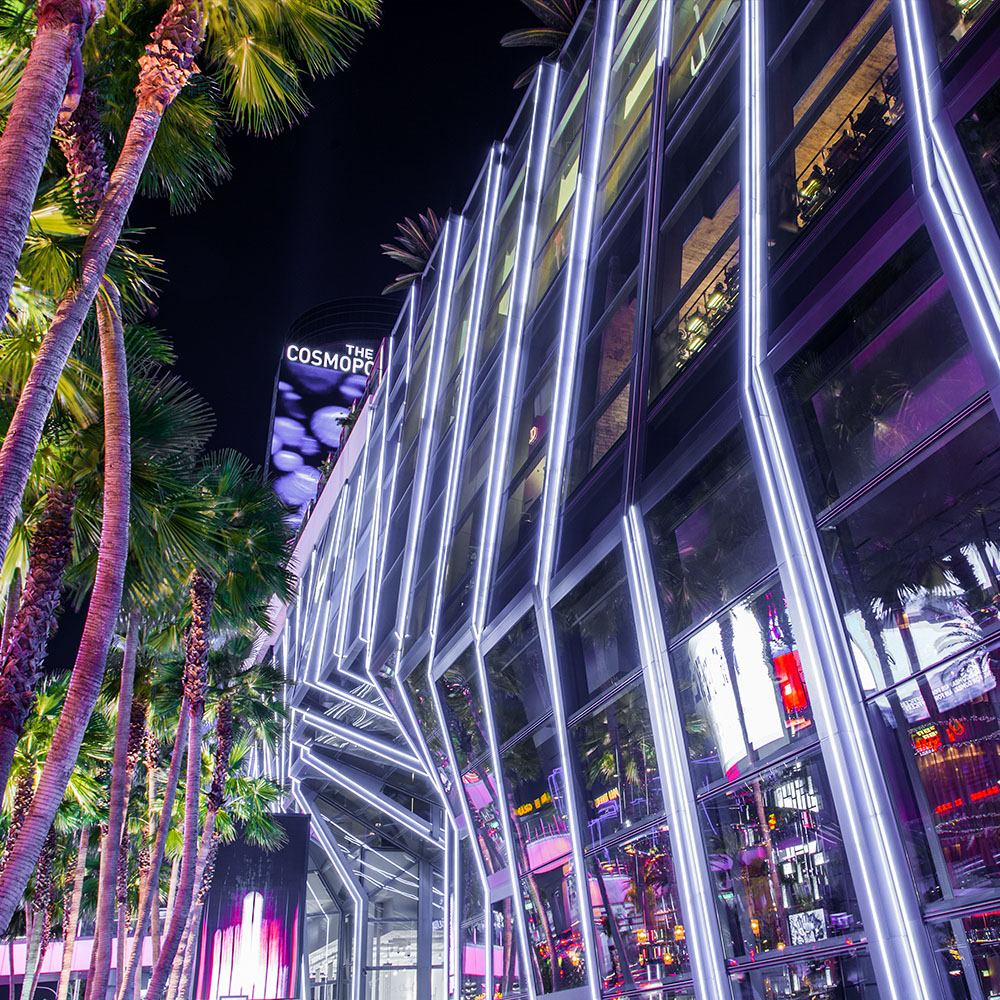 Neon Flex Silicon 24V 4000K CRI >90 5m