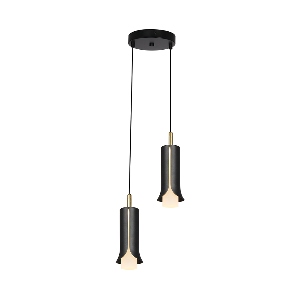 2X5W LED Decorative Hanging Lamp (D150*H30mm) 3000K Sandy Black