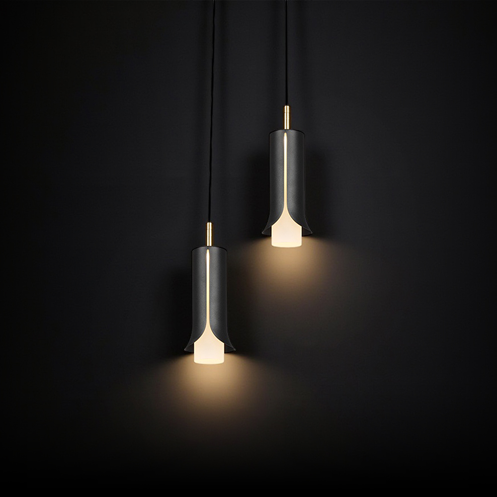 2X5W LED Decorative Hanging Lamp (D150*H30mm) 3000K Sandy Black img 1