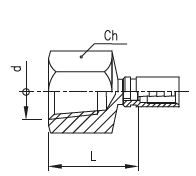 Pressure Test Coupling