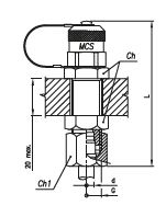 Pressure Test Coupling