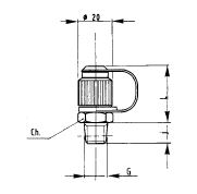 Pressure Test Coupling