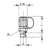 Pressure Test Coupling