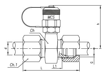 Pressure Test Coupling