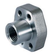 Counter Flange 3000Psi | Bspp Female