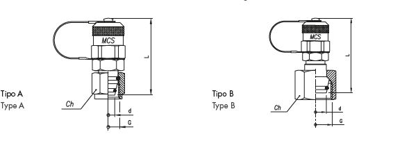Pressure Test Coupling