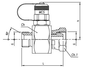 Pressure Test Coupling