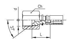 Pressure Test Coupling