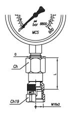 Pressure Test Coupling