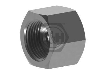 Cap Female BSPP 60° cone