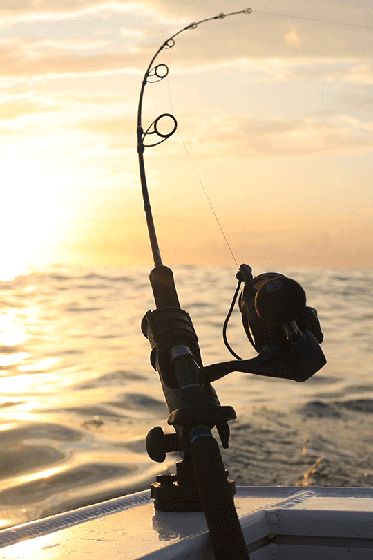 Angler's Delight: RAILBLAZA Rod Holder II - Your Fishing Companion