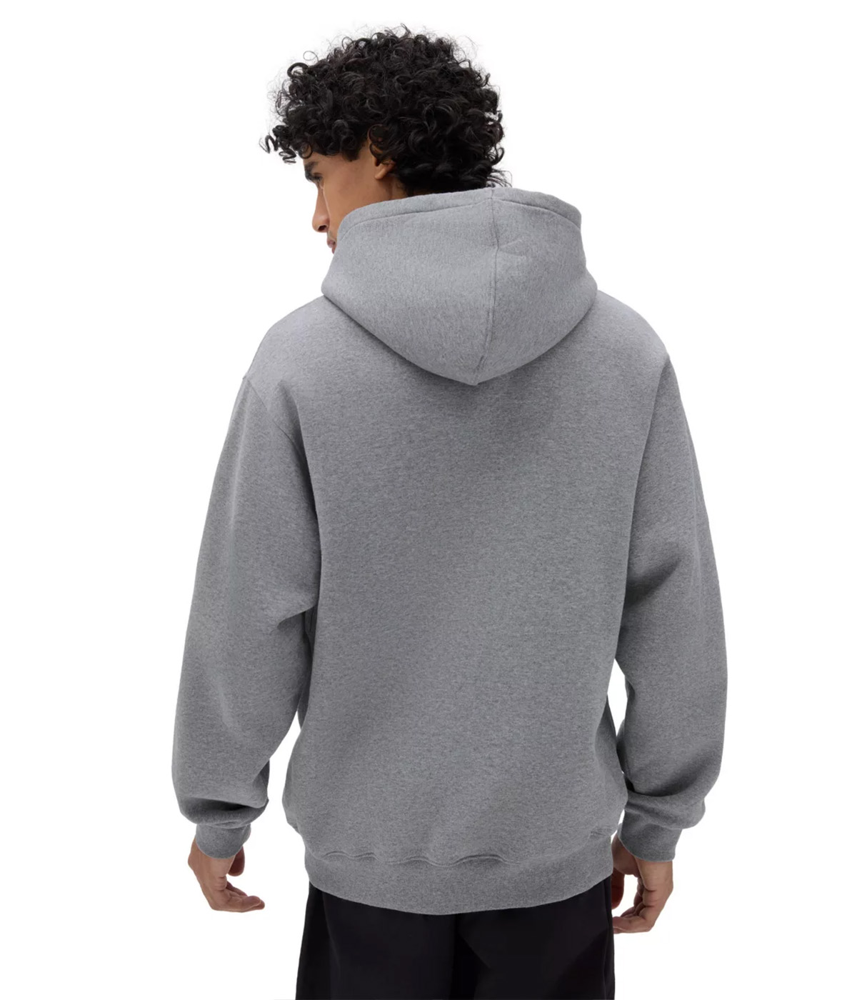 Vans skate pullover hotsell hoodie