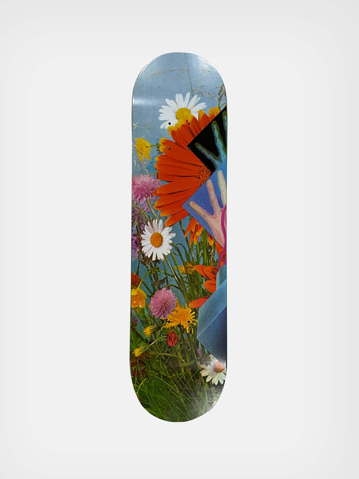 Poetic Collective - "Skateboard 8.125""" - Multicolor - 8.125"