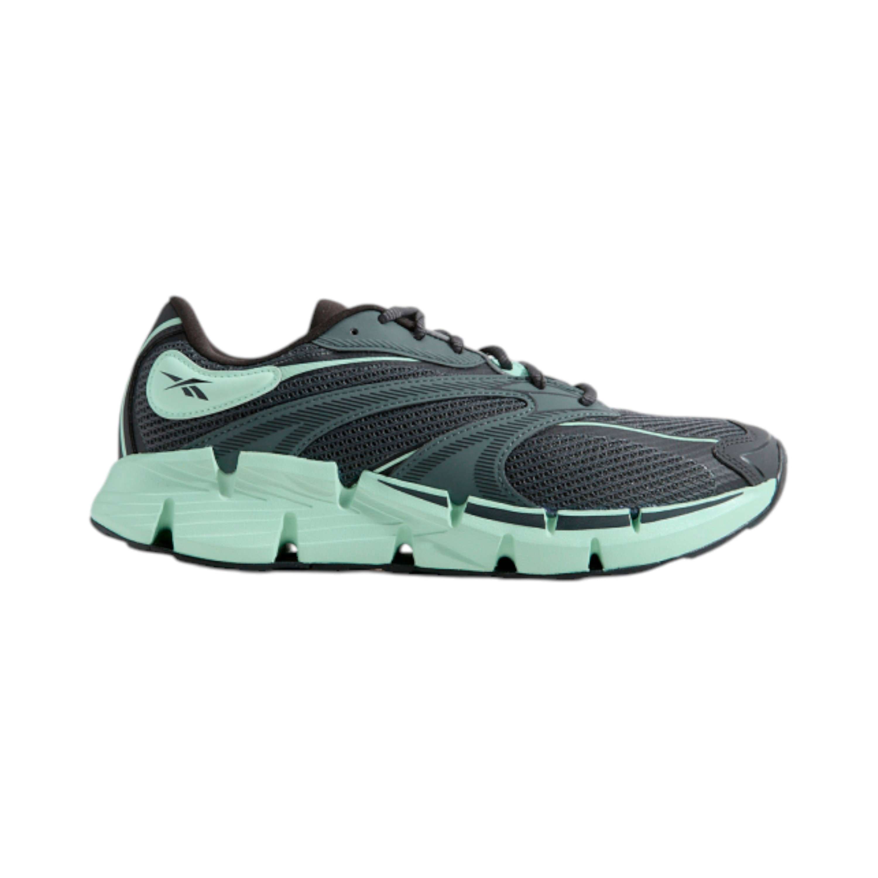 Tenis Zig Hypnotica