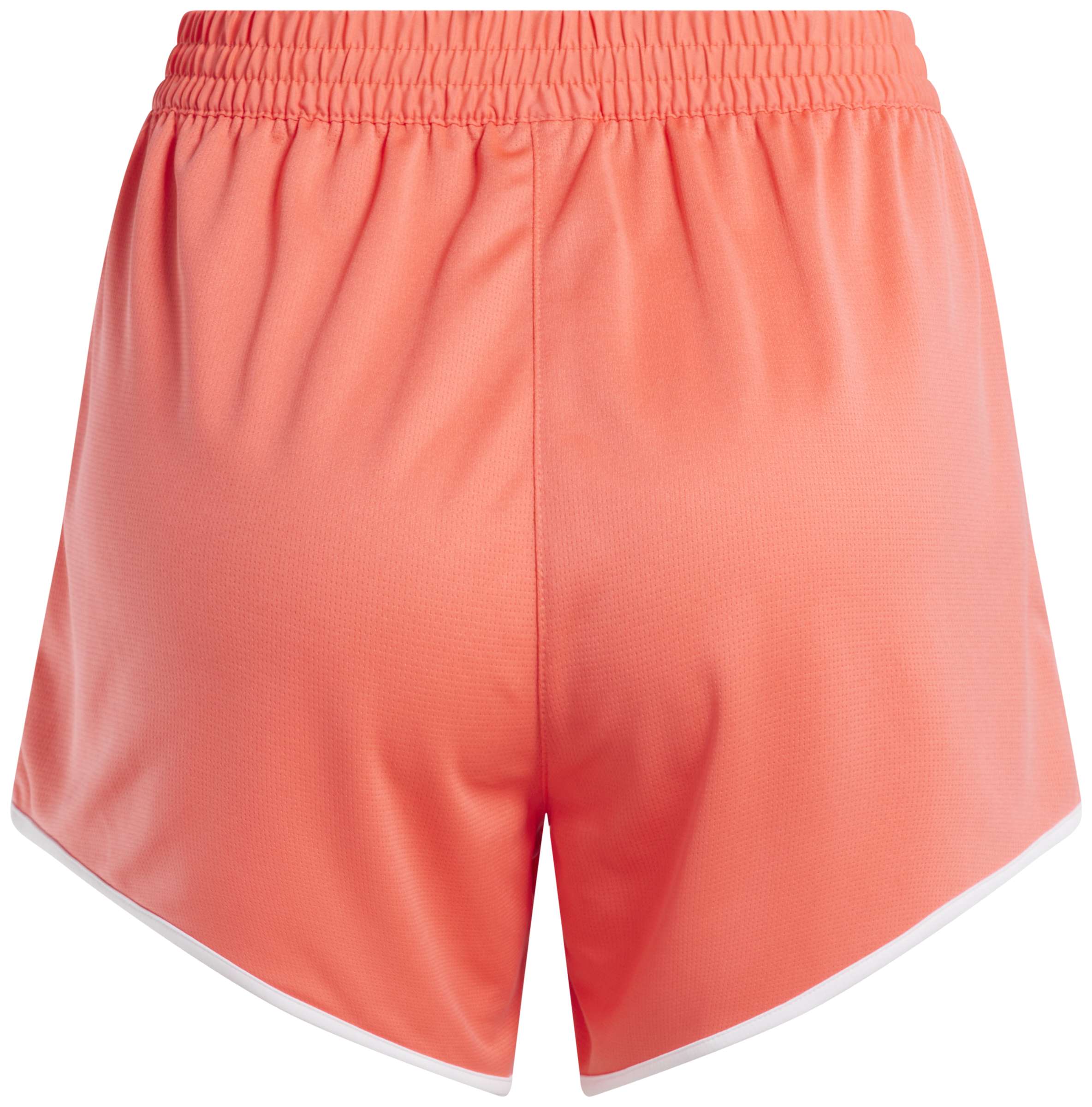 Short Training Knit