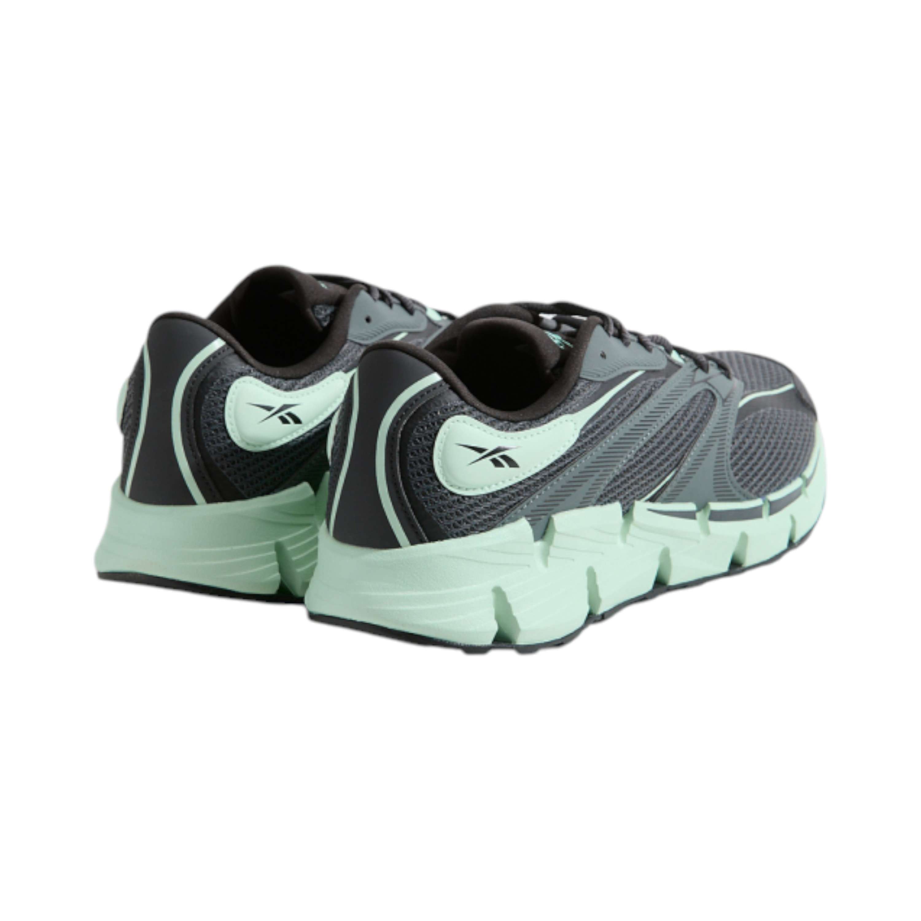 Tenis Zig Hypnotica