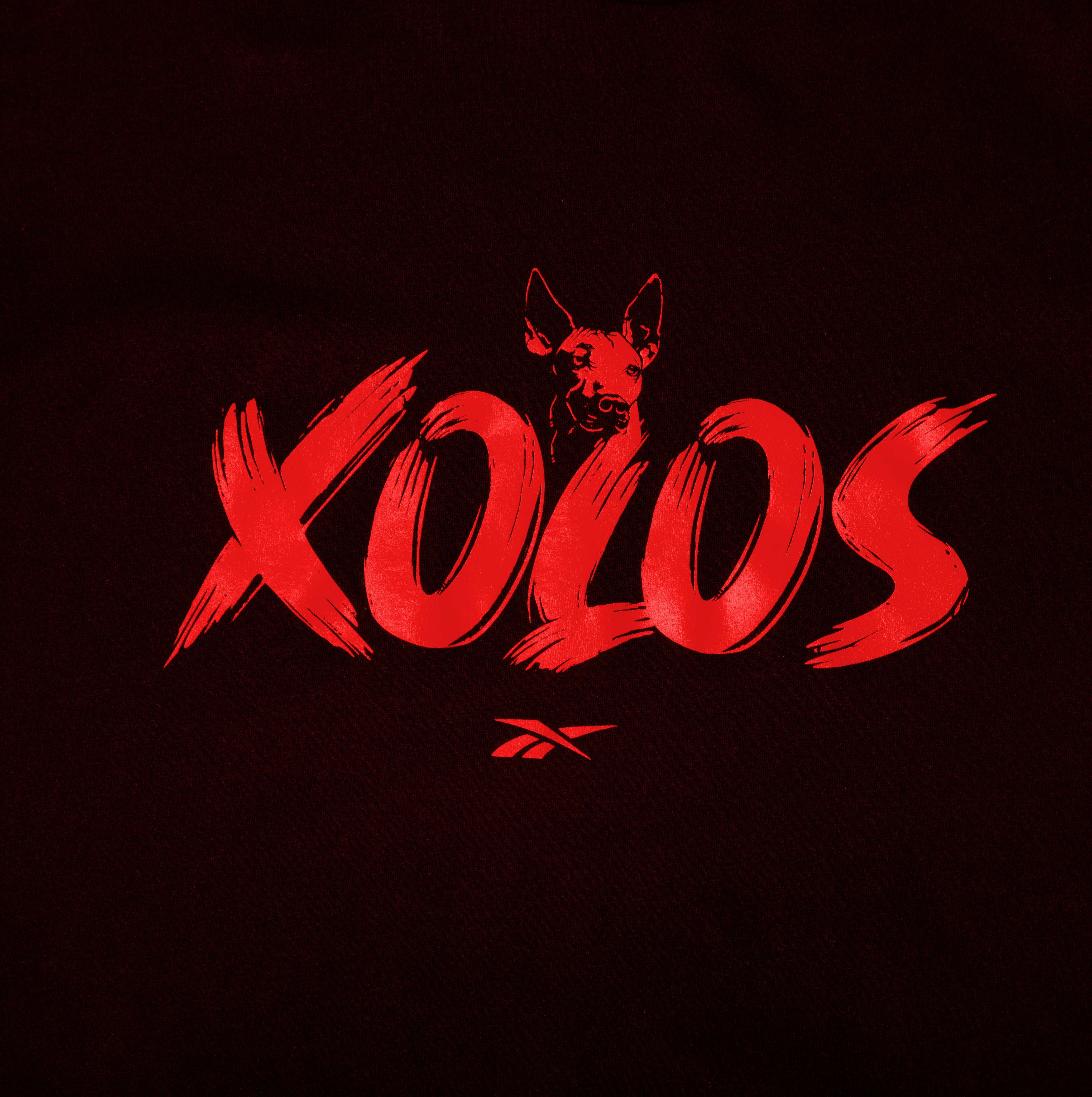 Playera de algod&oacute;n XOLOS