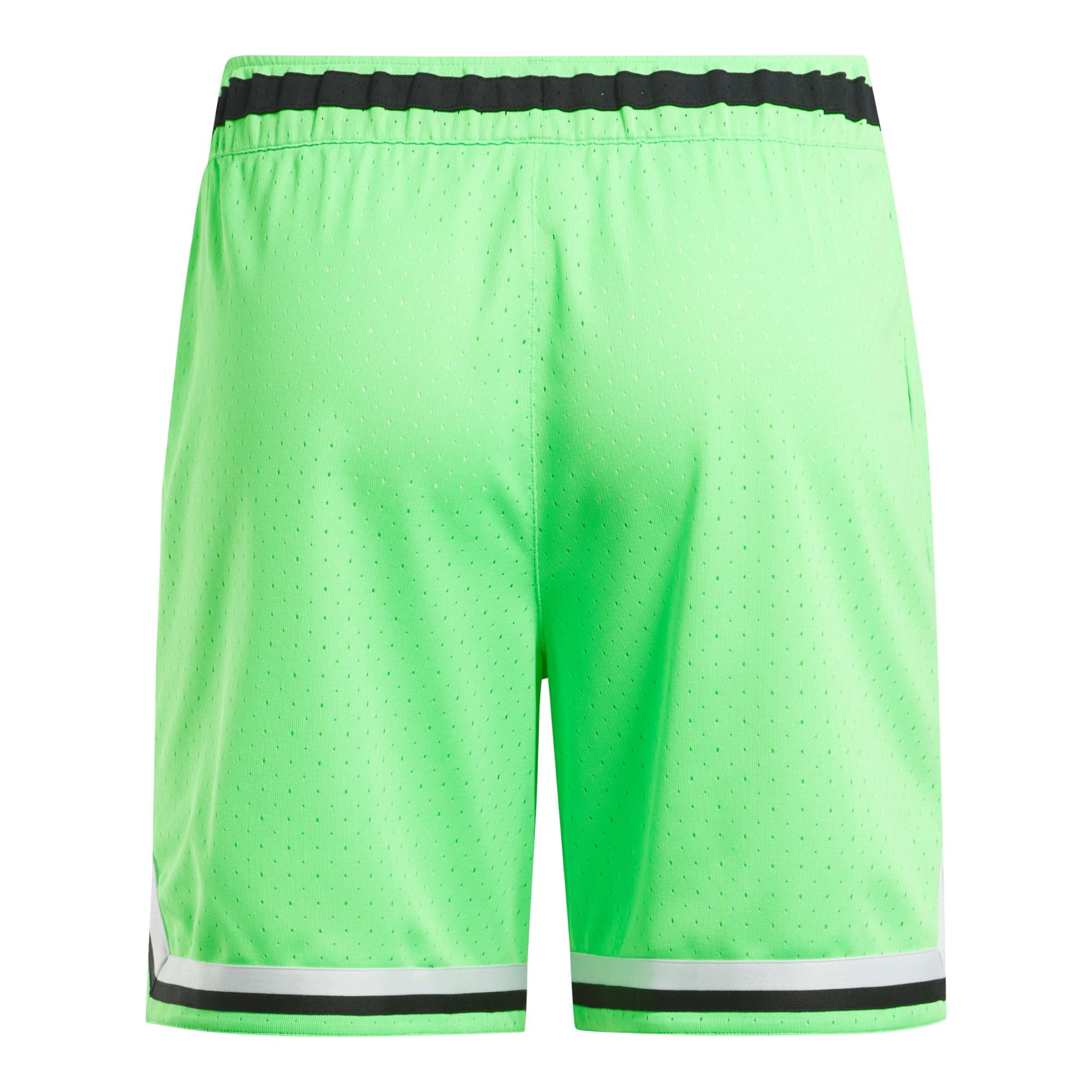 Short Basketball Transition image number 3