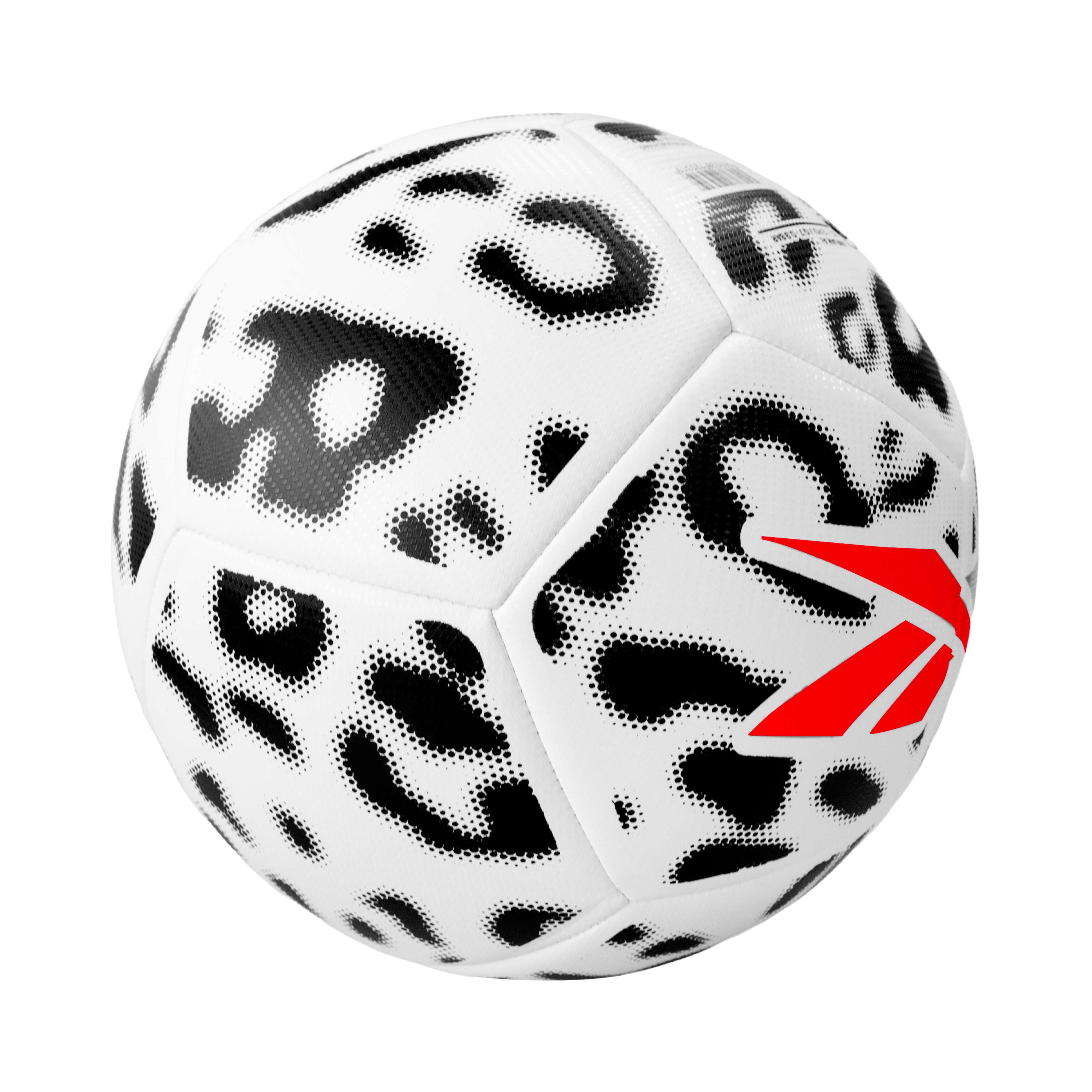 Bal&oacute;n de F&uacute;tbol N5