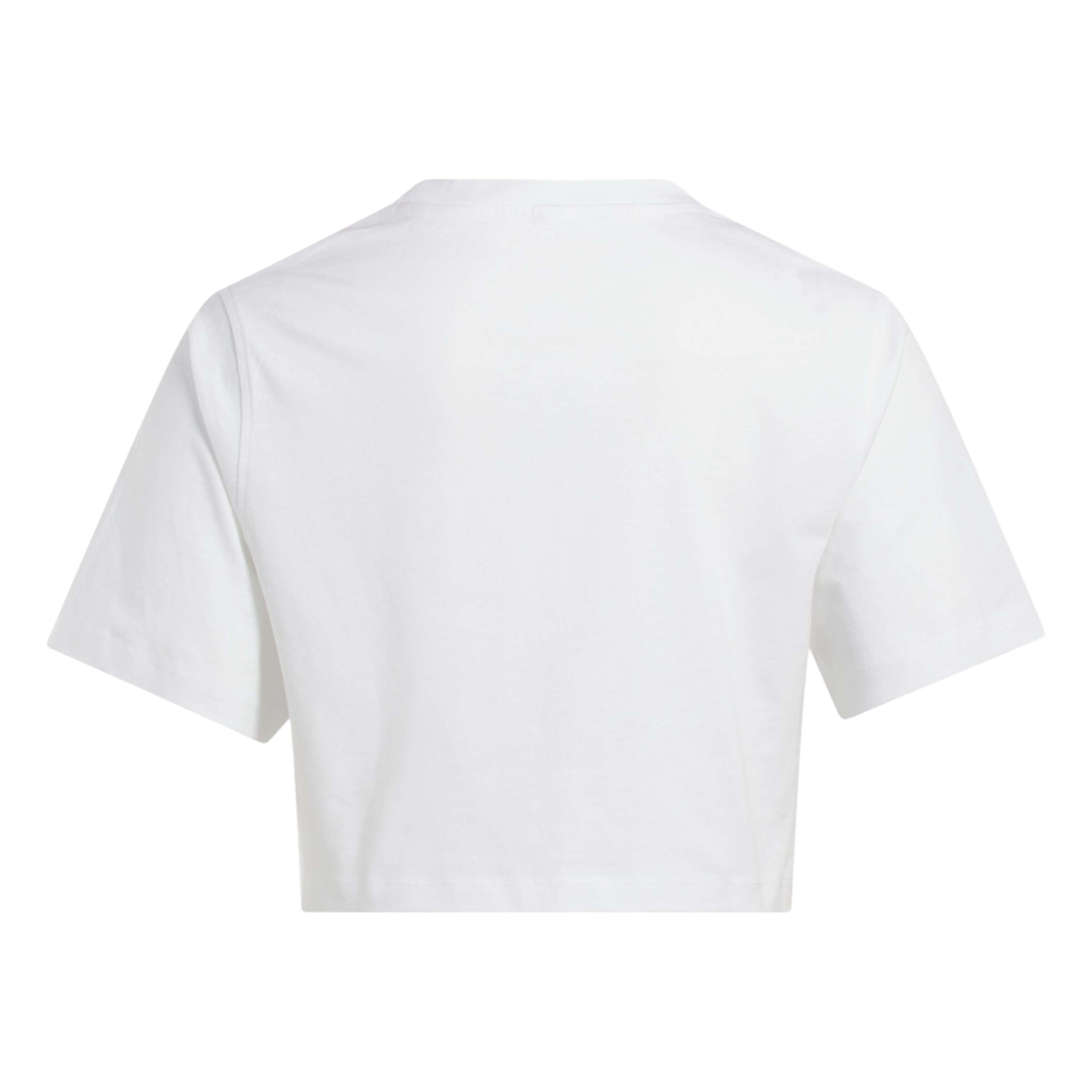 Playera Sadie Cropped image number 4