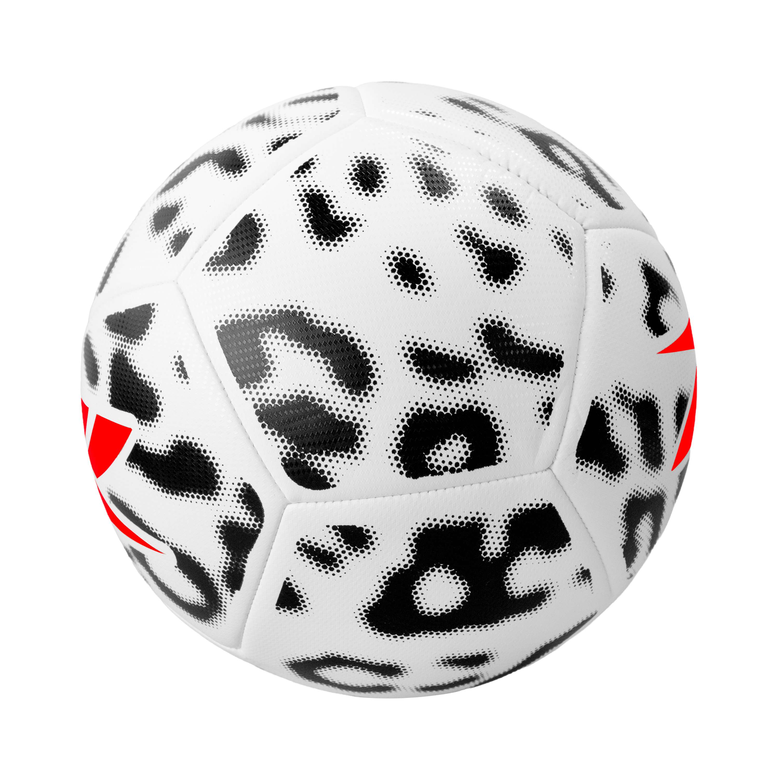 Bal&oacute;n de F&uacute;tbol N5