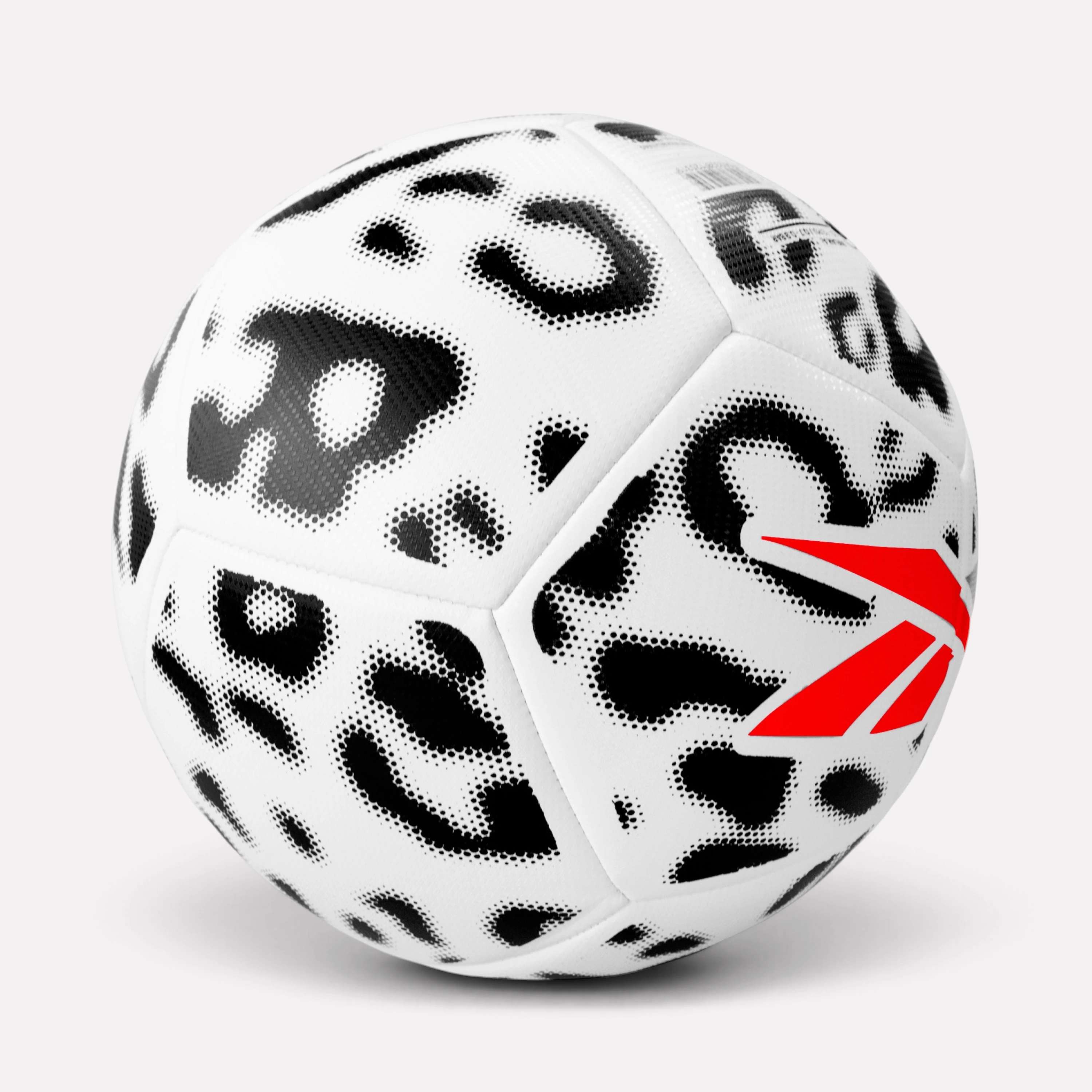 Bal&oacute;n de F&uacute;tbol N5