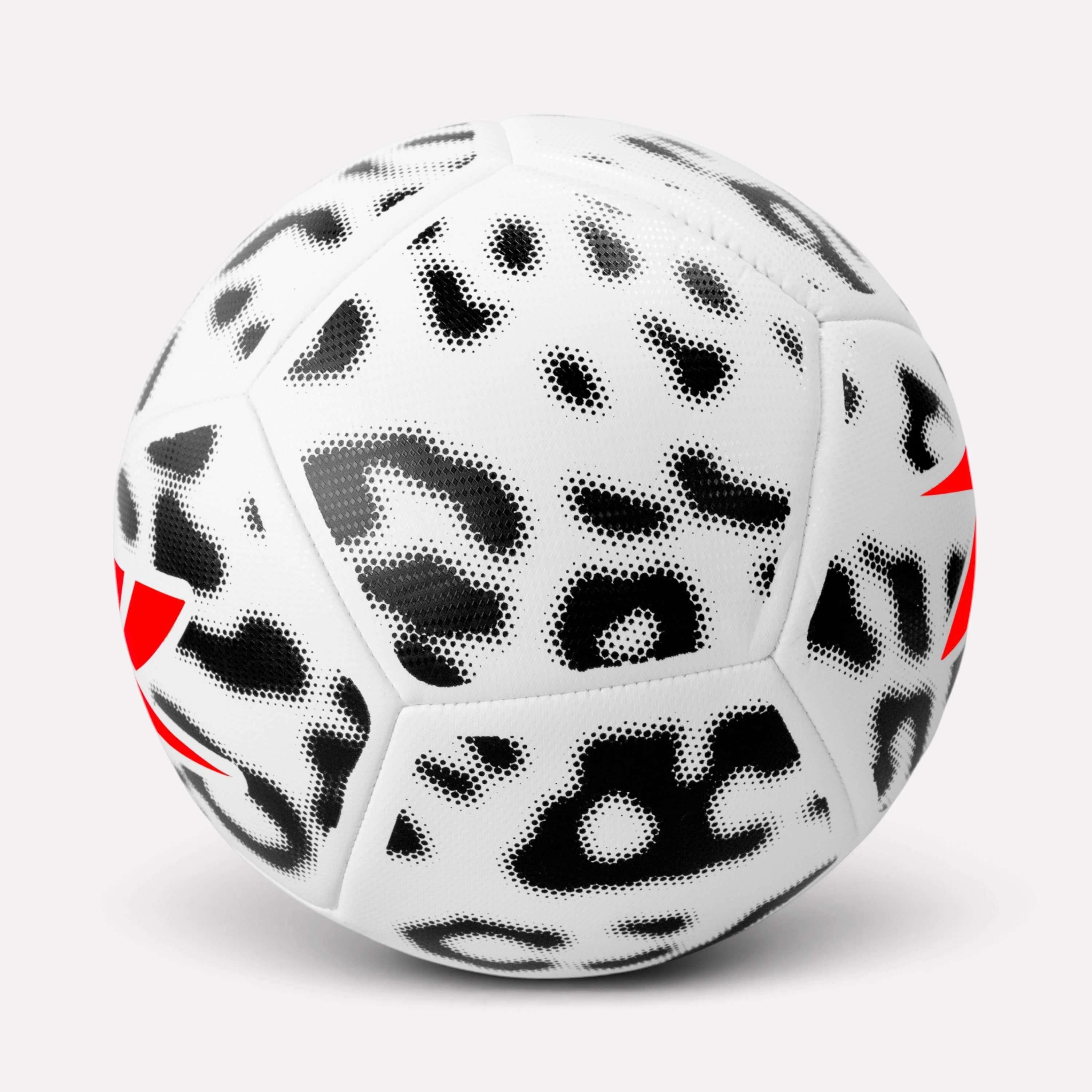 Bal&oacute;n de F&uacute;tbol N5